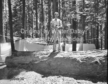 Photographer, Walter Daley in Pinecrest Campground